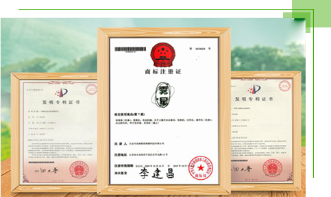 注重品牌建設(shè)，準(zhǔn)確定位市場(chǎng)
